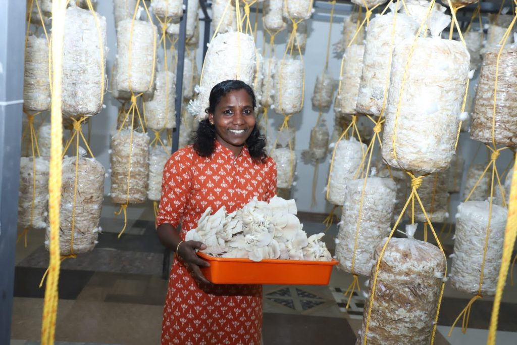 Mushroom Research and Development Centre 